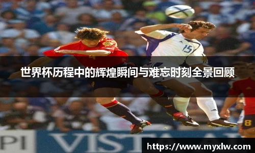米乐yy易游体育