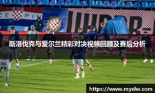 斯洛伐克与爱尔兰精彩对决视频回顾及赛后分析