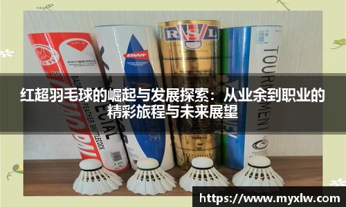 红超羽毛球的崛起与发展探索：从业余到职业的精彩旅程与未来展望